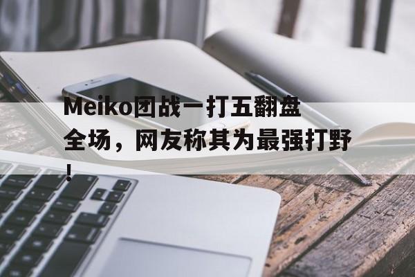 Meiko团战一打五翻盘全场，网友称其为最强打野！