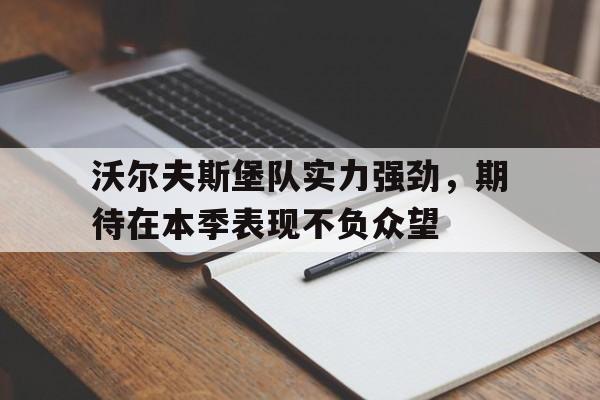 沃尔夫斯堡队实力强劲，期待在本季表现不负众望
